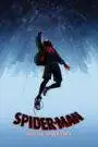 Spider-Man: Into the Spider-Verse (2018) Hindi Dubbed